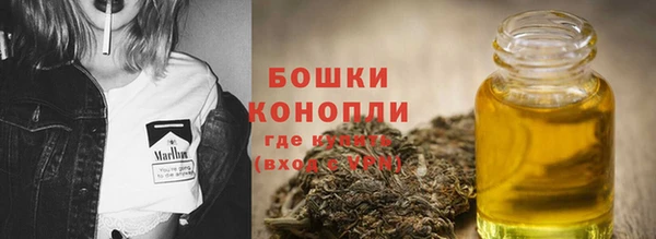 соль ск Бородино