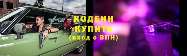 соль ск Бородино