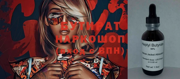 индика Грязовец