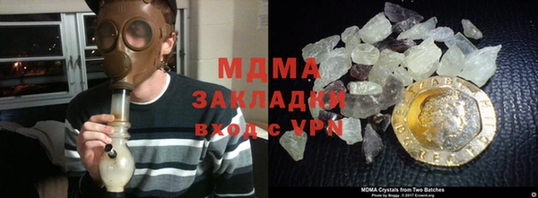 индика Грязовец